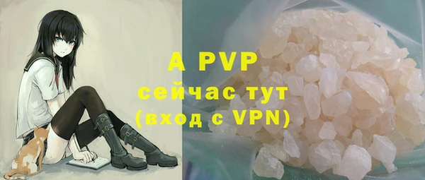 стаф Абинск