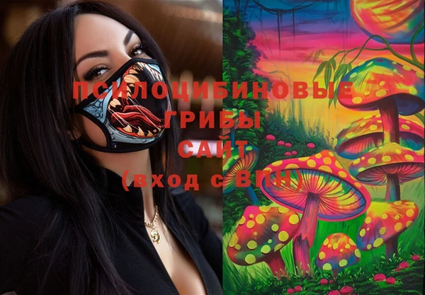 2c-b Алексеевка