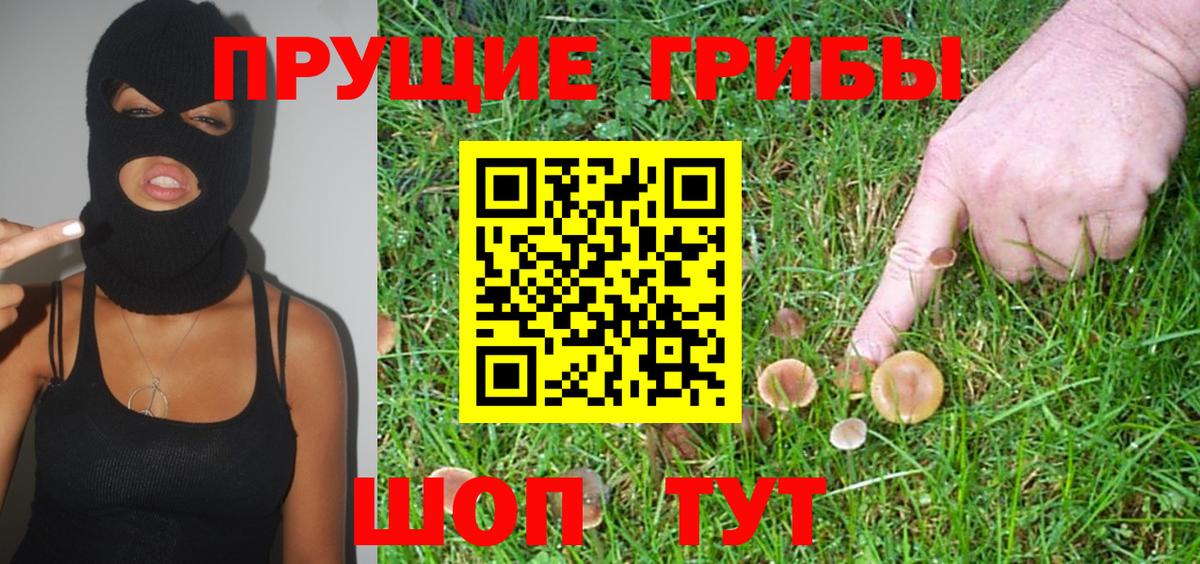 Ухта  Галлюциногенные грибы Psilocybe  Вход с VPN 